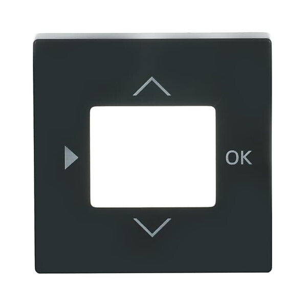 Busch-Jaeger Zentralscheibe anth f.Timer-Bedienelem. 6435-81